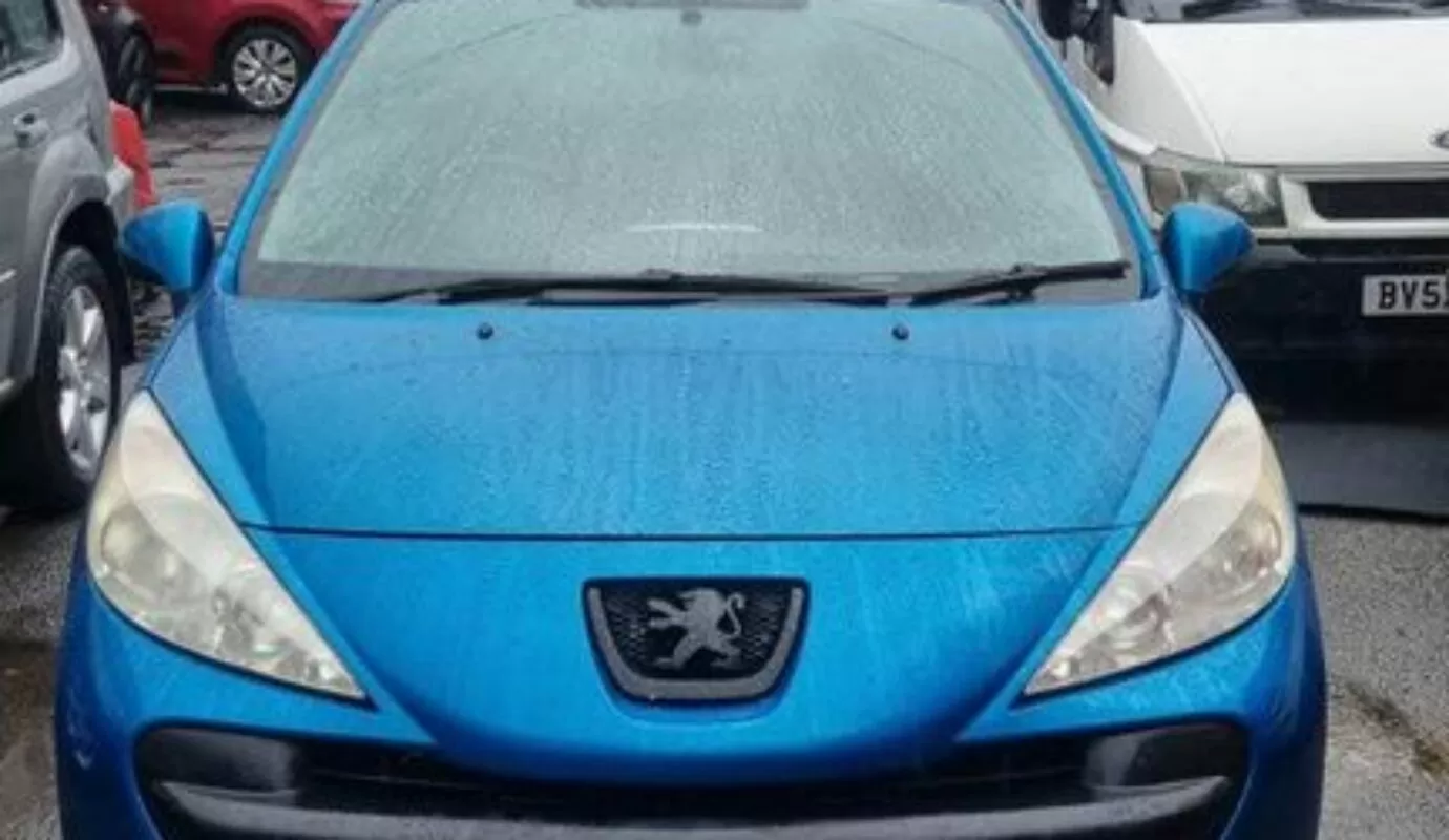 Peugeot 207